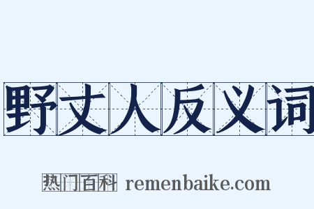 野丈人反义词是什么意思的图片